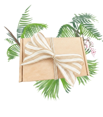 Balíček pre pestovateľov paliem - darčeková súprava semien