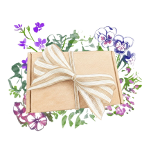 Balíček semien kvetov do kvetináča - darčeková súprava semien