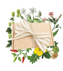 Balíček pre pravých mužov - darčeková súprava semien