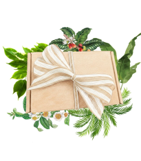 Balíček pre pestovateľov izbových rastlín - darčeková súprava semien