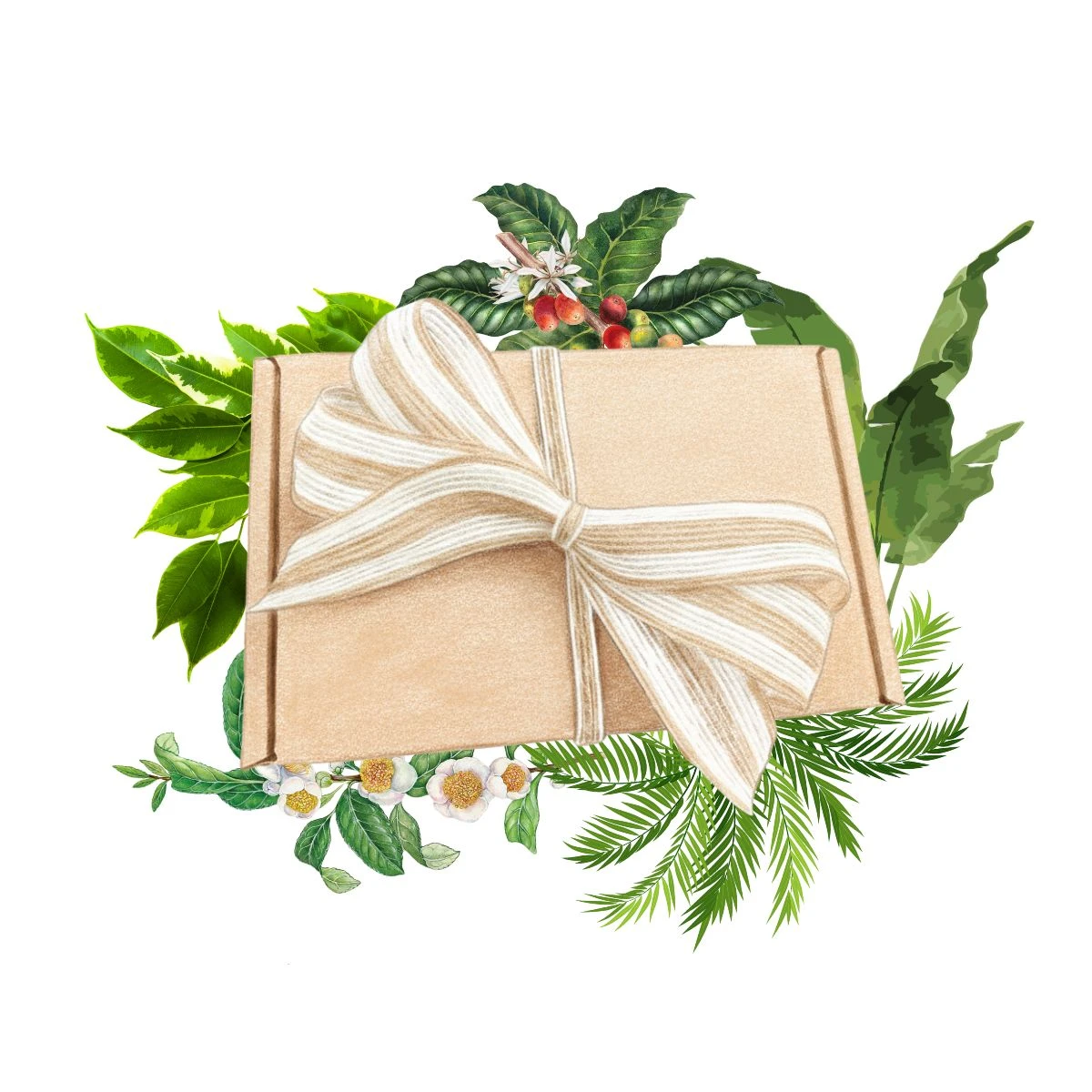 Balíček pre pestovateľov izbových rastlín - darčeková súprava semien