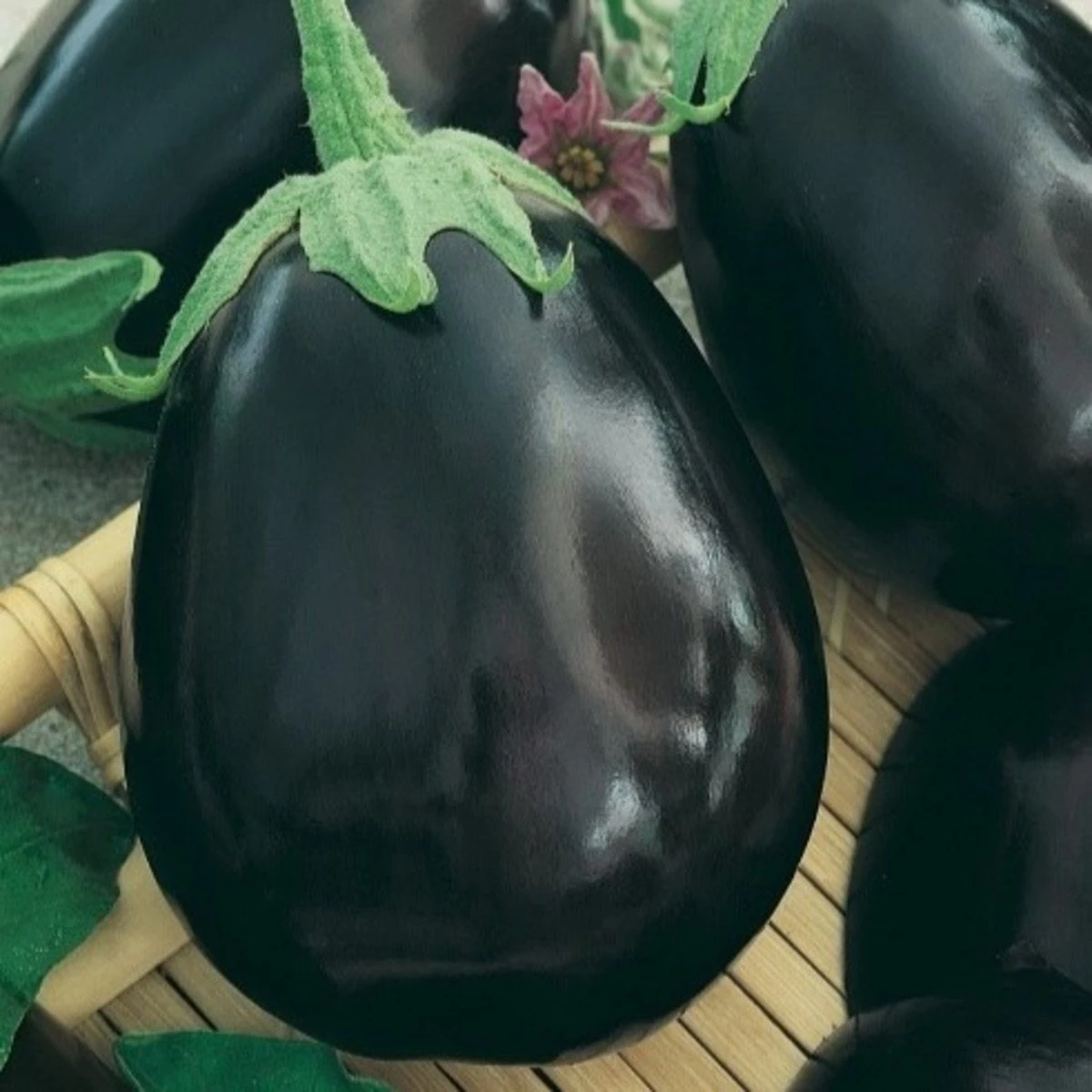 Baklažán Krasan - Solanum melongena - semená - 100 ks