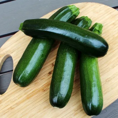 Cuketa Tarmino F1 - Cucurbita pepo - semená - 6 ks