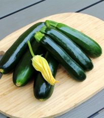 Cuketa Sandokan F1 - Cucurbita pepo - semená - 8 ks