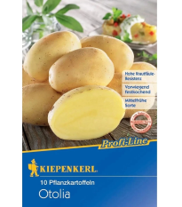 Sadbové zemiaky Otolia - Solanum tuberosum - zemiaky - 10 ks
