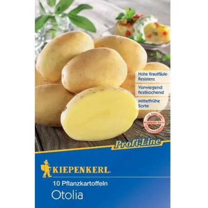 Sadbové zemiaky Otolia - Solanum tuberosum - zemiaky - 10 ks
