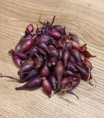 Cibuľa sadzačka Piroska - Allium cepa - cibuľky - 250 g