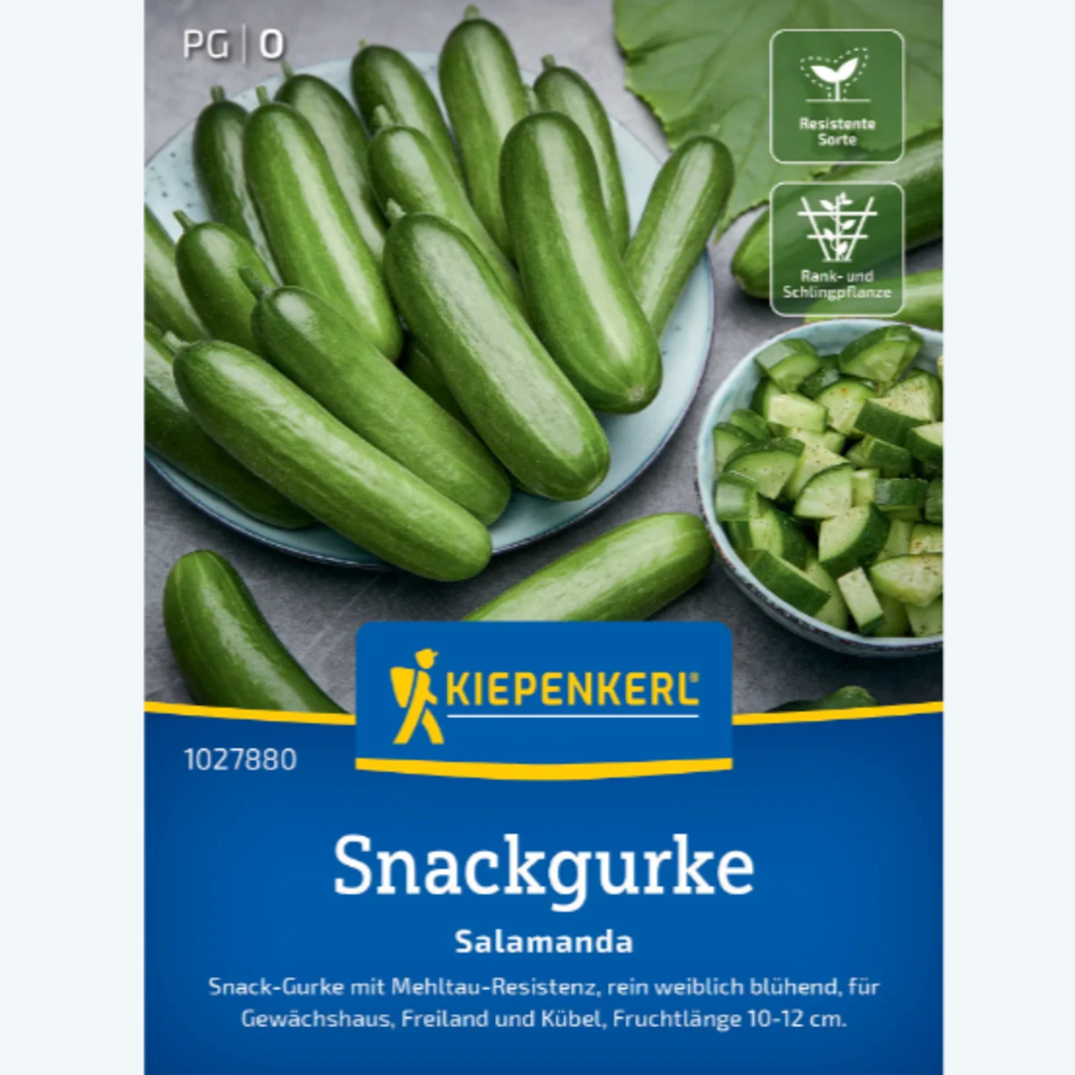 Uhorka šalátová Salamanda F1 - Cucumis sativus - semená - 6 ks