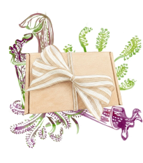 Balíček pre pestovateľov mäsožravých rastlín - darčeková súprava semien