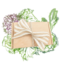 Balíček listovej zeleniny - darčeková súprava semien