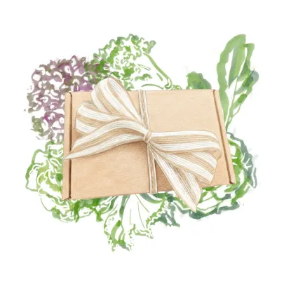 Balíček listovej zeleniny - darčeková súprava semien