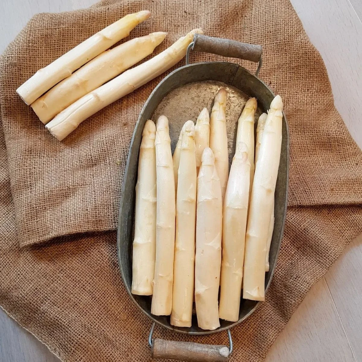 Špargľa Gijnlim biela - Asparagus officinalis - prostokorenné sadenice špargle - 2 ks