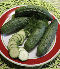 Uhorka Patio Snacker F1 - vhodné pre balkóny - Cucumis sativus - semená - 8 ks