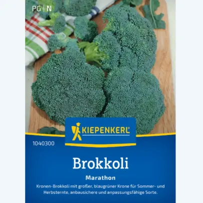 Brokolica Marathon F1 - Brassica oleracea - semená - 30 ks
