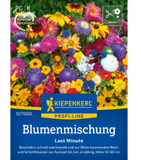 Kvetinová zmes - Last Minute - semená Kiepenkerl - 1 ks