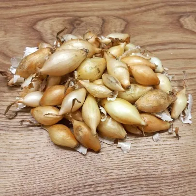 Sadzačka Winteria - Allium cepa - cibuľky - 250 g