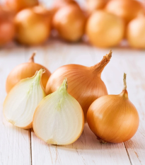 Sadzačka Winteria - Allium cepa - cibuľky - 250 g