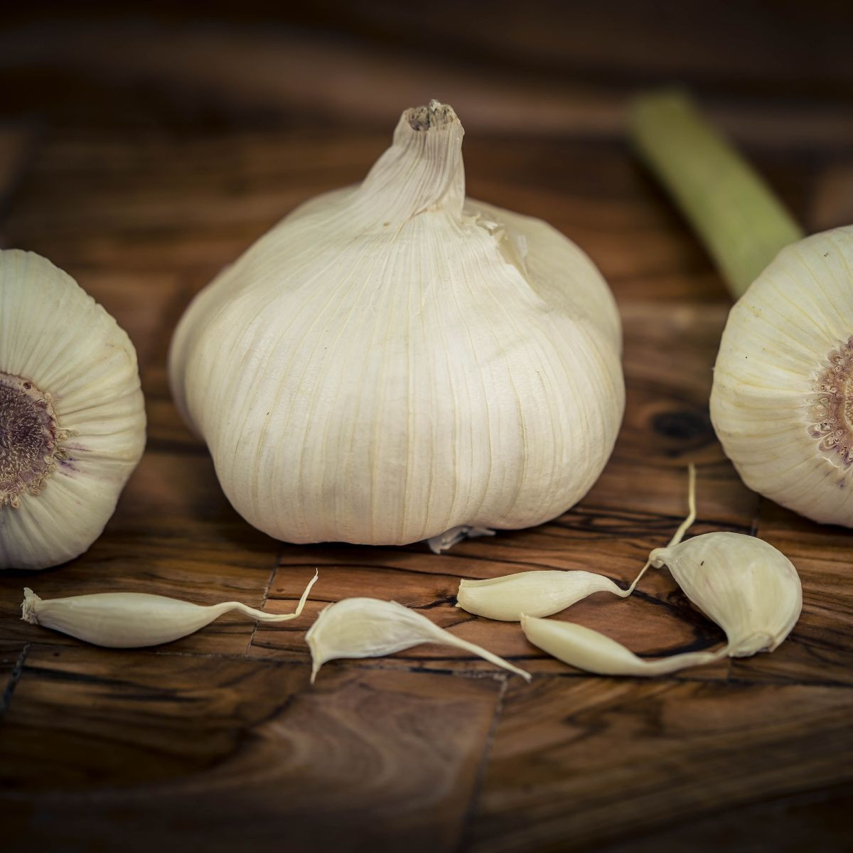 Sadbový česnek Garpek - Allium sativum - paličák - cibule česneku - 1 balení