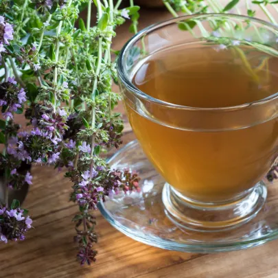 Materina dúška - Thymus serpyllum - semená - 500 ks