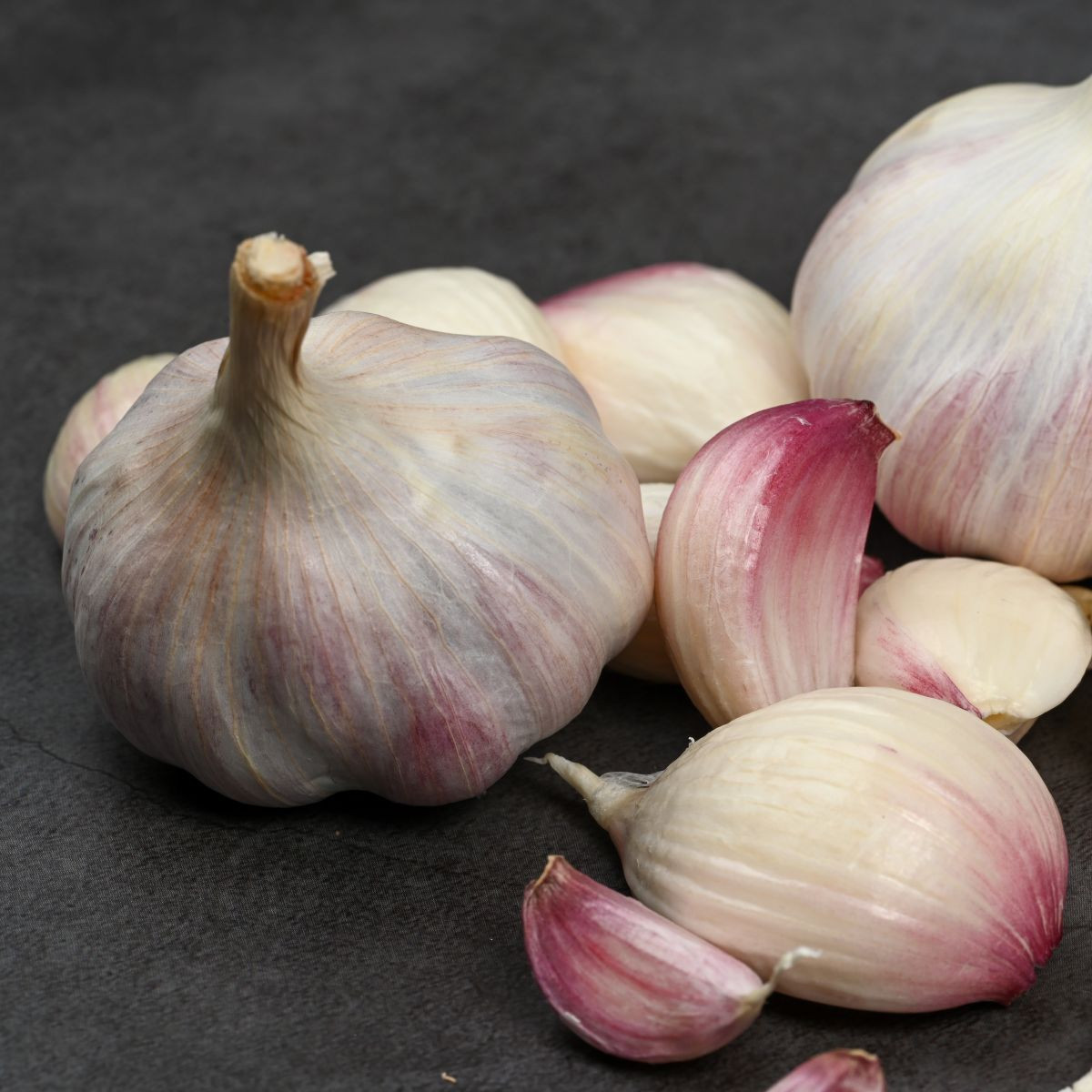 Sadbový cesnak Slavin II - Allium sativum - paličiak - 1 balenie