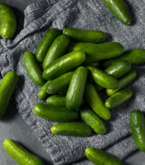 Uhorka šalátová Little Snack F1 - Cucumis sativus - semená - 8 ks