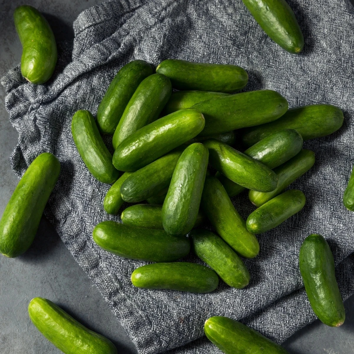Uhorka šalátová Little Snack F1 - Cucumis sativus - semená - 8 ks