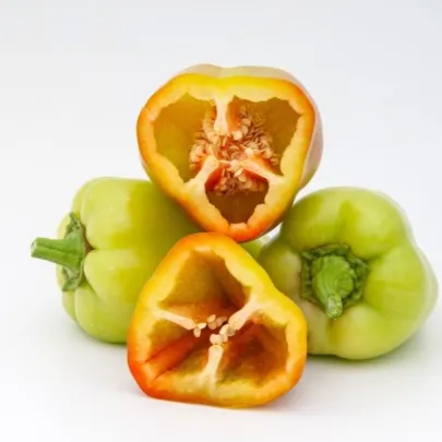Paprika Amy - Capsicum Annuum - semená - 50 ks