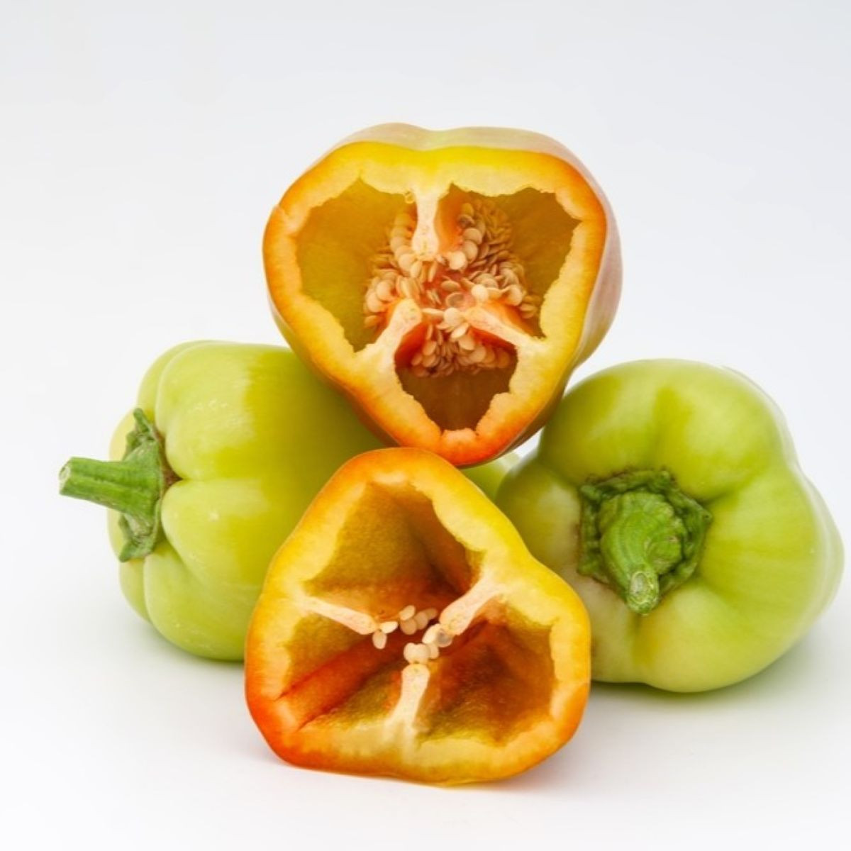 Paprika Amy - Capsicum Annuum - semená - 50 ks