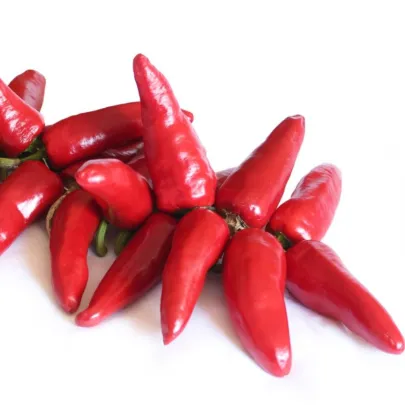 Chilli Jalapeno - Capsicum annuum - semená - 6 ks