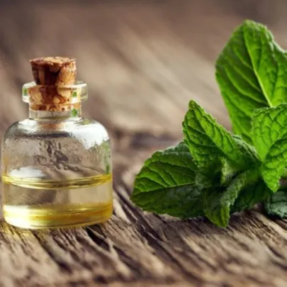 Mäta prieporná – Mentha piperita – semená