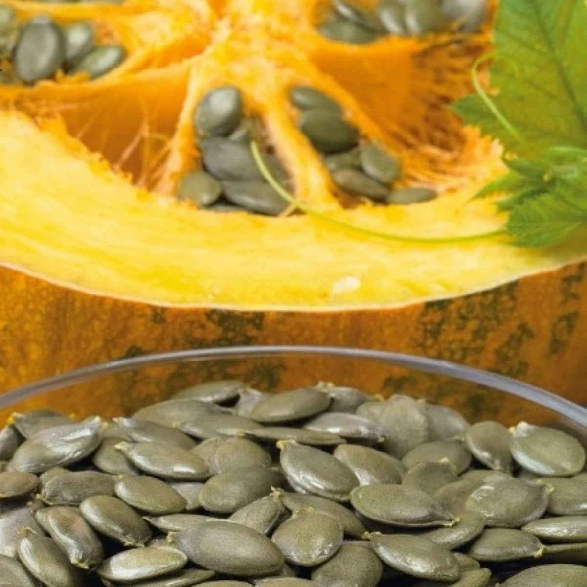 Tekvica olejná Trumf F1 - Cucurbita pepo - semená - 12 ks