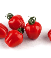 Paradajka tyčková Appleberry F1 PhR červená - Solanum lycopersicum - semená - 7 ks