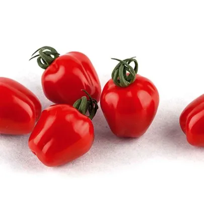 Paradajka tyčková Appleberry F1 PhR červená - Solanum lycopersicum - semená - 7 ks