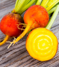 BIO Repa červená Burpees Golden - Beta vulgaris conditiva - bio semená - 50 ks