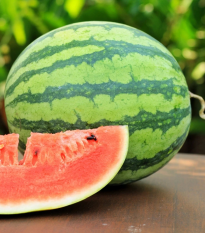 Melón vodný Nanoor F1 - Citrullus lanatus - semená - 6 ks