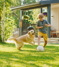 BIO Trávne osivo - univerzálna - trávna zmes - Sativa - 500 g