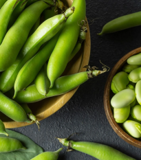 Bôb obyčajný biely Dreifach Weissa - Vitia faba - semená - 20 ks