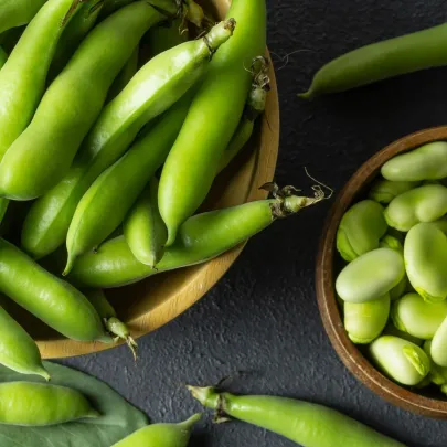 Bôb obyčajný biely Dreifach Weissa - Vitia faba - semená - 20 ks