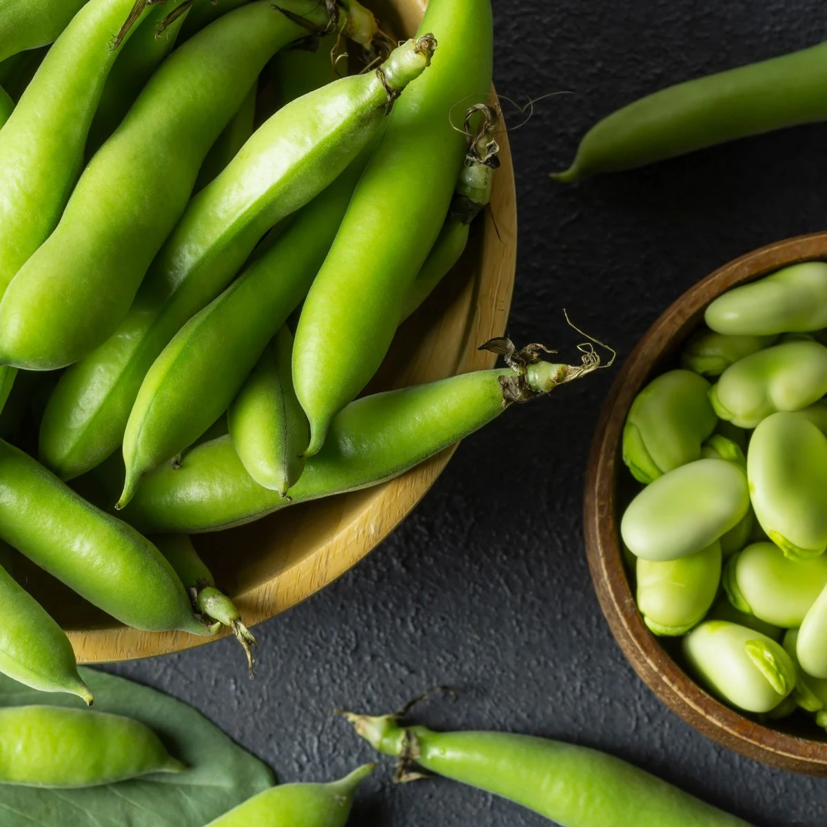 Bôb obyčajný biely Dreifach Weissa - Vitia faba - semená - 20 ks