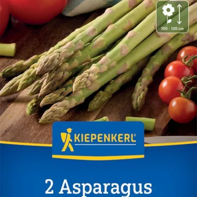 Špargľa Boonlim zelená - Asparagus officinalis - voľnokorenné sadenice špargle - 2 ks