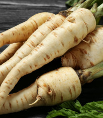 Paštrnák dlhý biely Halblange - Pastinaca sativa - semená - 1 g