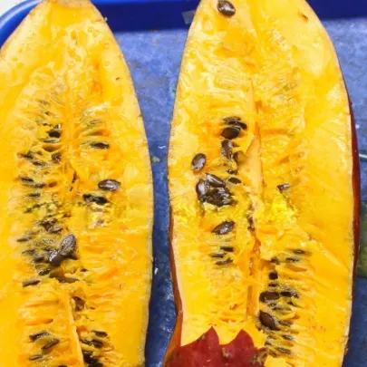 Muškátová uhorka - Sicana odorifera - semená - 6 ks