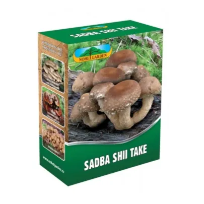 Shii take - Húževnatec jedlý - Lentinula edodes - sadba - 250 ml