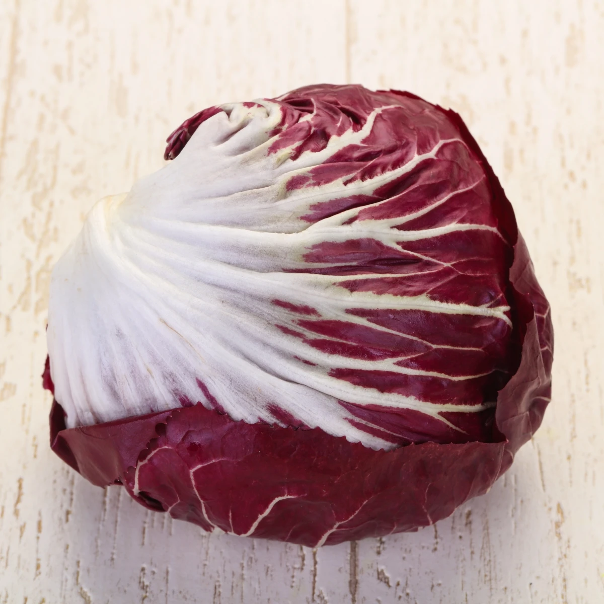 Čakanka Radicchio Indigo F1 - Cichorium intybus - semená - 20 ks