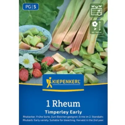 Rebarbora Timperley Early - Rheum rhabarbarum - voľnokorenené sadenice - 1 ks