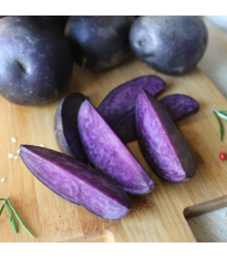 Sadbové zemiaky Violet Star - Solanum tuberosum - zemiaky - 5 ks