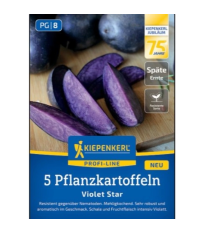 Sadbové zemiaky Violet Star - Solanum tuberosum - zemiaky - 5 ks