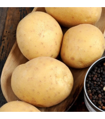 BIO sadbové zemiaky Afra - Solanum tuberosum - bio zemiaky - 10 ks
