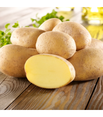 Sadbové zemiaky Gunda - Solanum tuberosum - zemiaky - 10 ks
