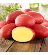 Sadbové zemiaky Laura - Solanum tuberosum - 10 ks